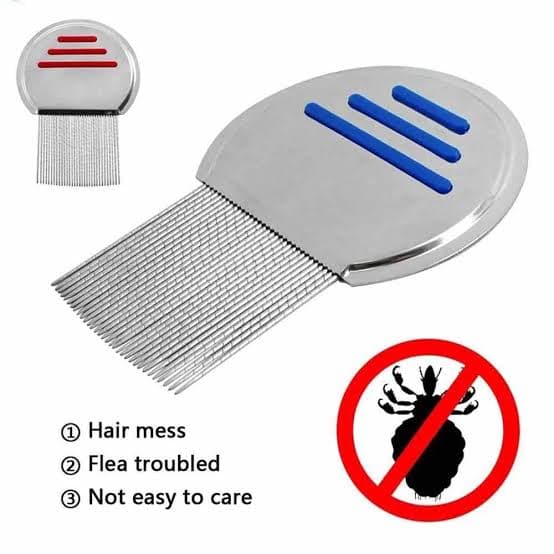 Lice Comb